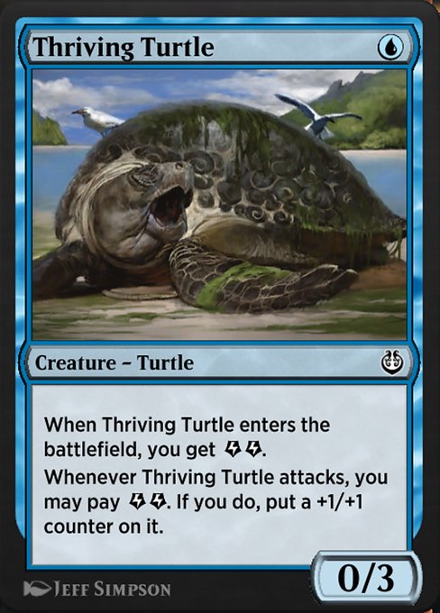 Thriving Turtle 69
