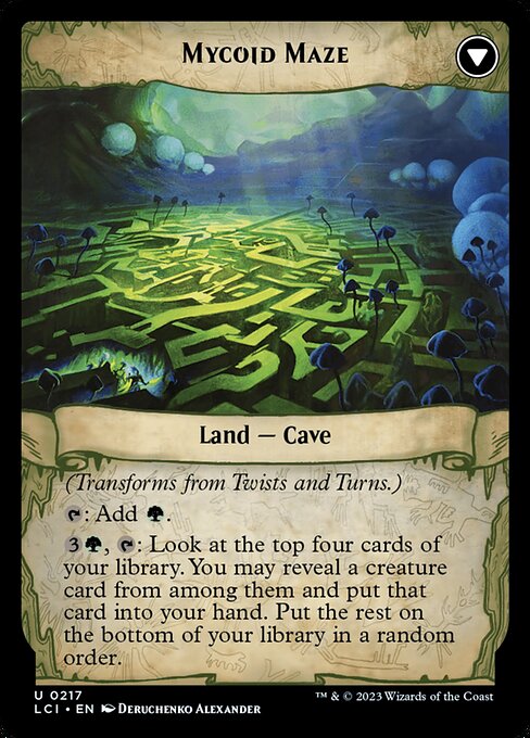 Twists and Turns // Mycoid Maze 217, back face