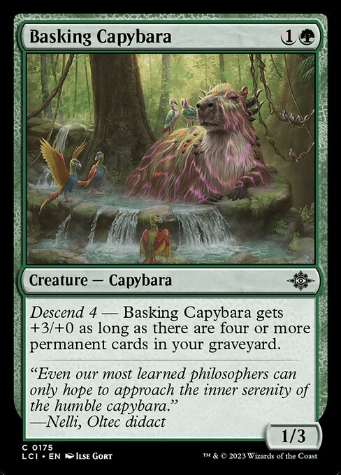 Basking Capybara 175