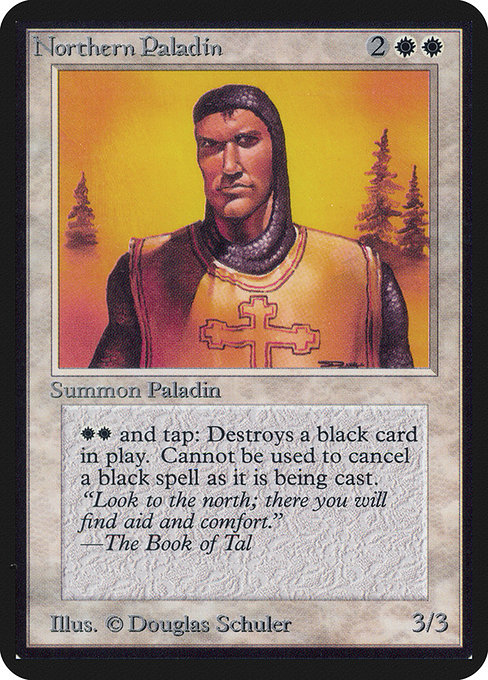 Northern Paladin 29