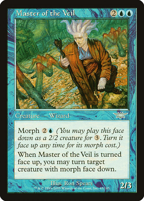 Master of the Veil 43