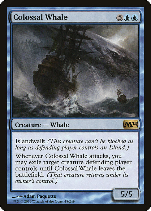 Colossal Whale 48