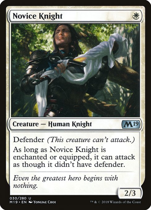 Novice Knight 30