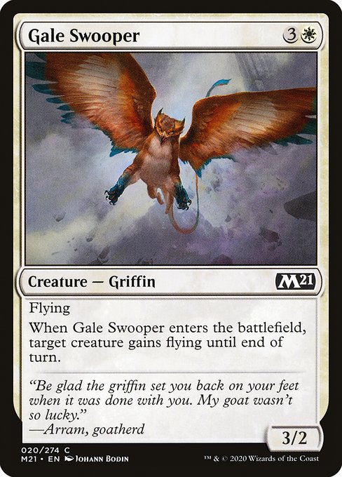 Gale Swooper 20