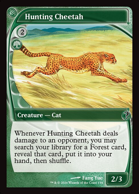 Hunting Cheetah 134