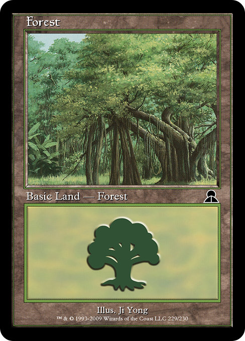 Forest 229
