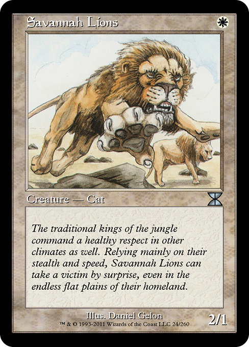 Savannah Lions 24