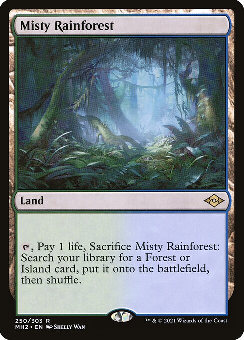 Misty Rainforest 250