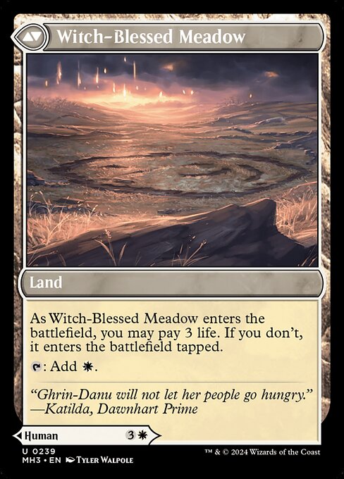 Witch Enchanter // Witch-Blessed Meadow 239, back face