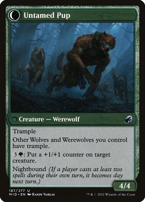 Hound Tamer // Untamed Pup 187, back face