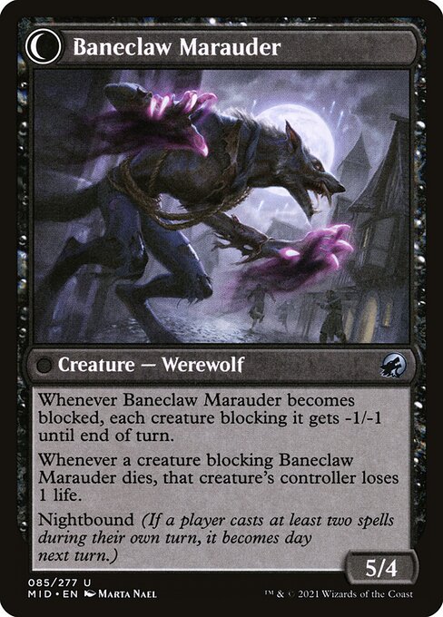 Baneblade Scoundrel // Baneclaw Marauder 85, back face