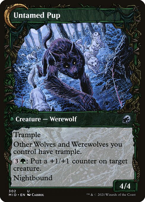 Hound Tamer // Untamed Pup 302, back face