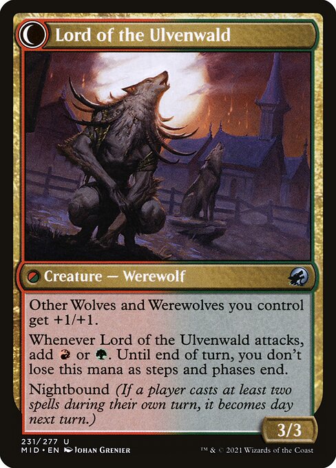 Kessig Naturalist // Lord of the Ulvenwald 231, back face