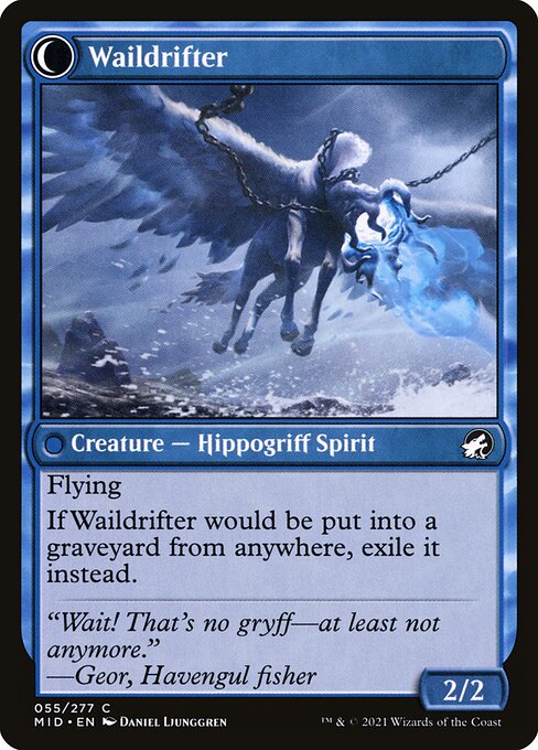 Galedrifter // Waildrifter 55, back face