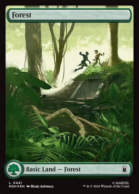 Forest 441