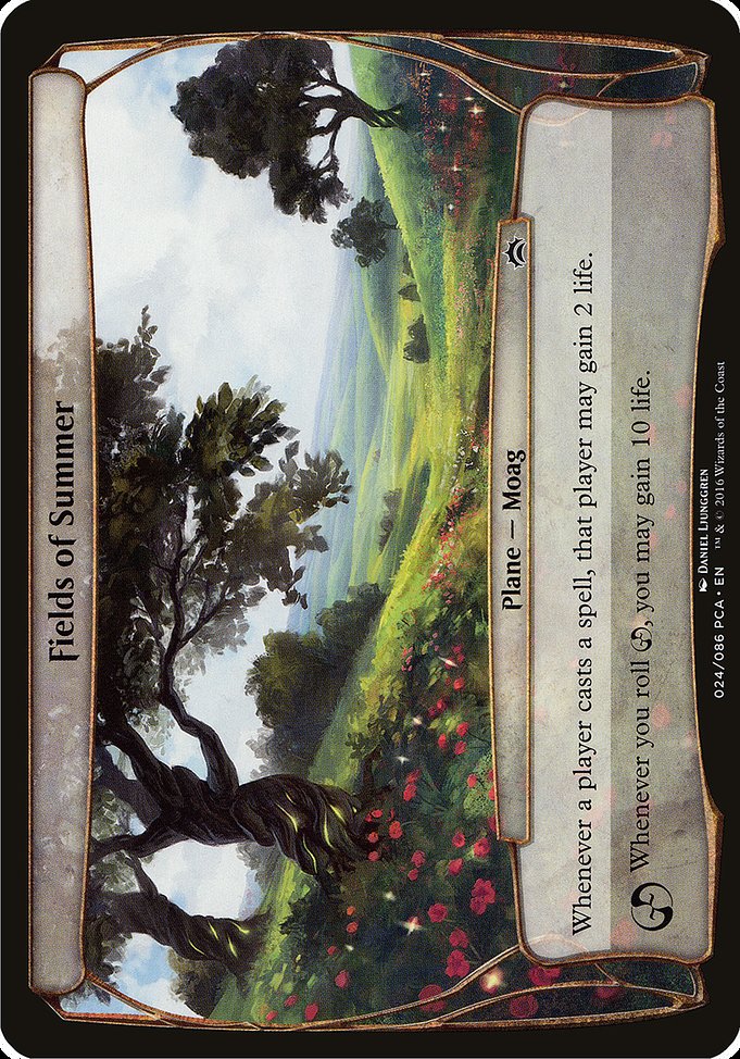 Fields of Summer 24