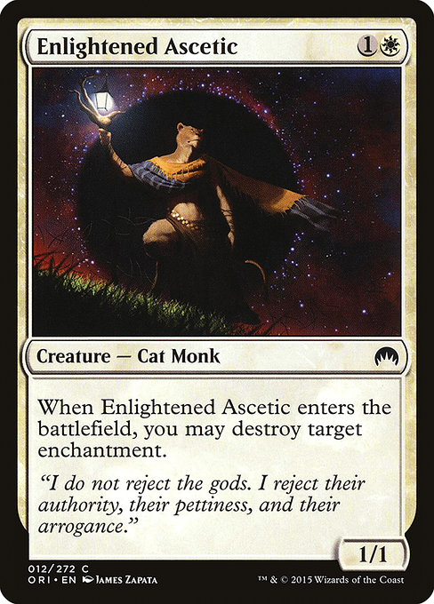 Enlightened Ascetic 12