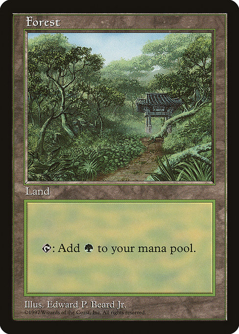 Forest 11