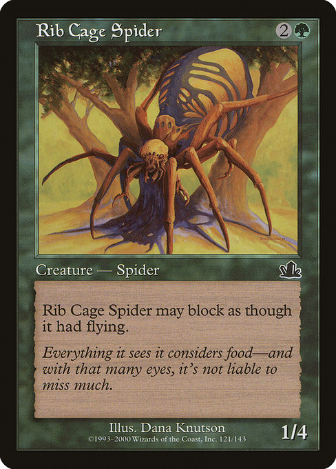 Rib Cage Spider 121