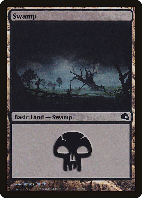 Swamp 28