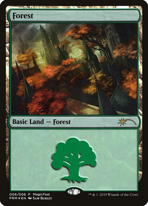 Forest 6