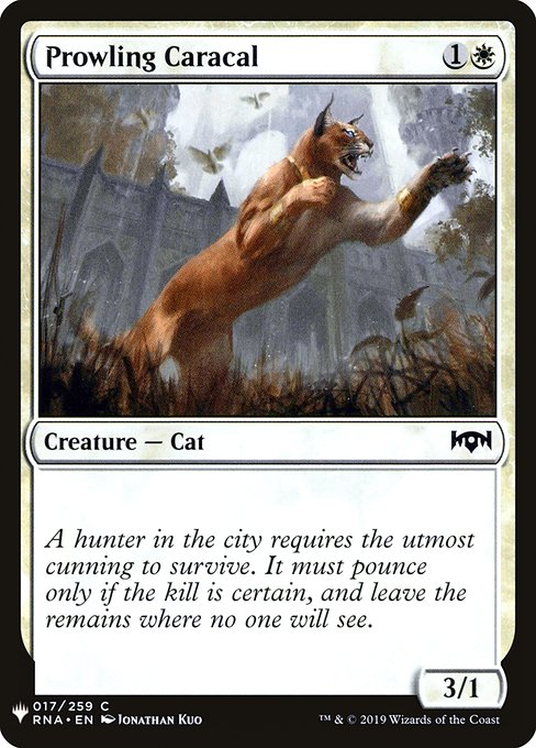 Prowling Caracal RNA-17