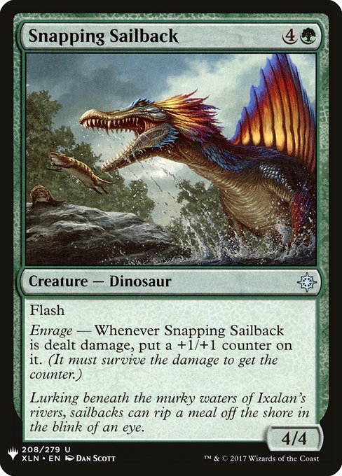 Snapping Sailback XLN-208