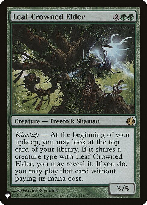 Leaf-Crowned Elder MOR-128