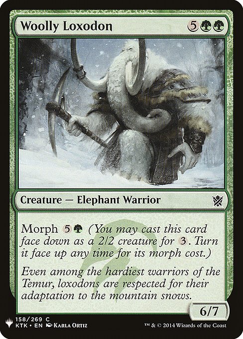 Woolly Loxodon KTK-158
