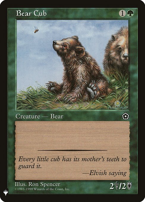 Bear Cub P02-123