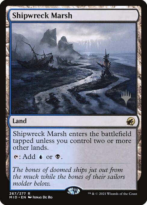 Shipwreck Marsh 267p