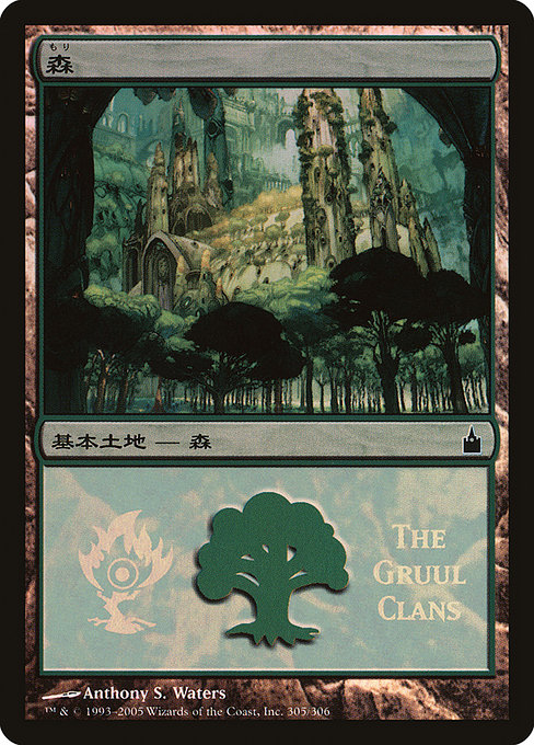 Forest 305