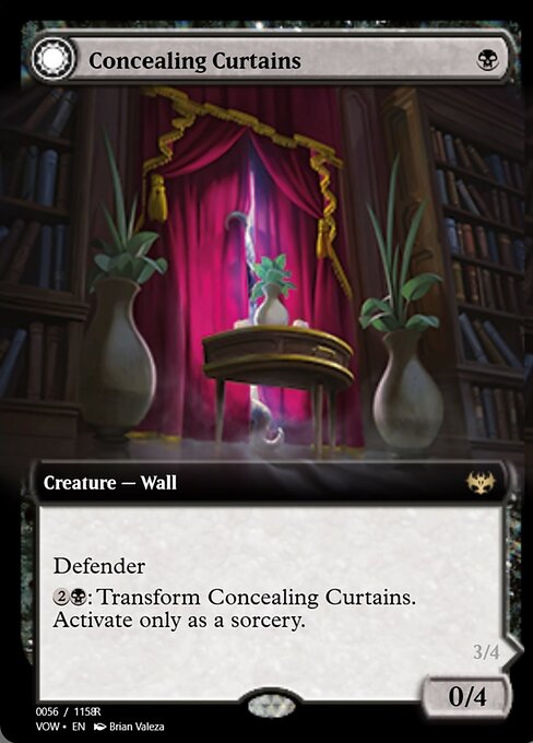 Concealing Curtains // Revealing Eye 95351