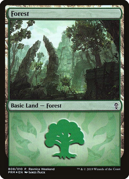 Forest B08