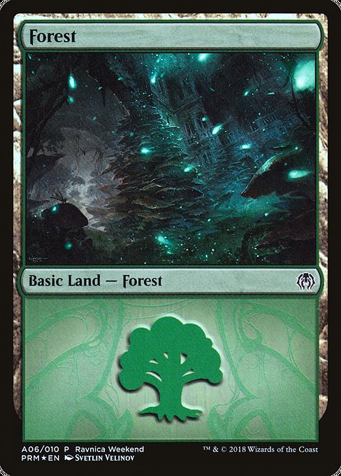 Forest A06