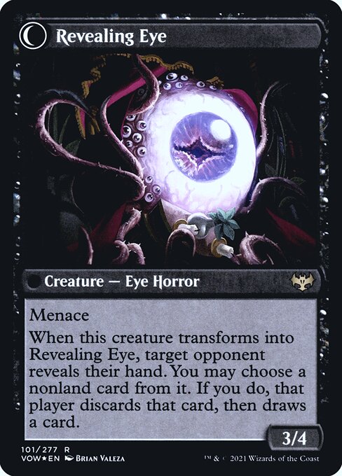 Concealing Curtains // Revealing Eye 101s, back face