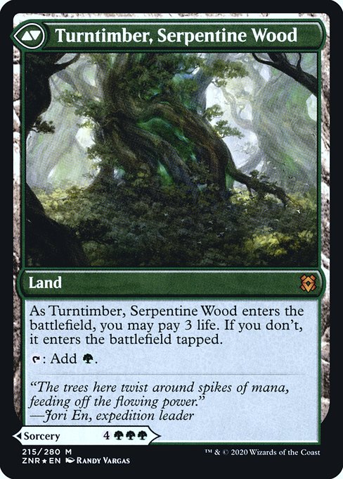 Turntimber Symbiosis // Turntimber, Serpentine Wood 215s, back face