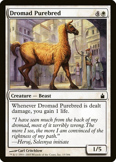 Dromad Purebred 15