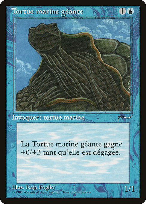 Giant Tortoise 34