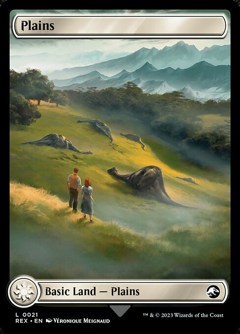 Plains // Plains 21, back face