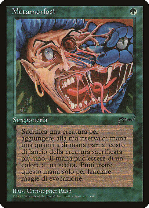 Metamorphosis 130
