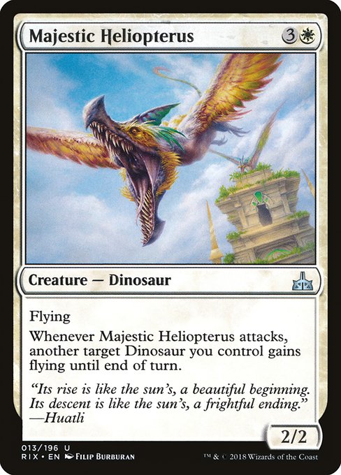 Majestic Heliopterus 13