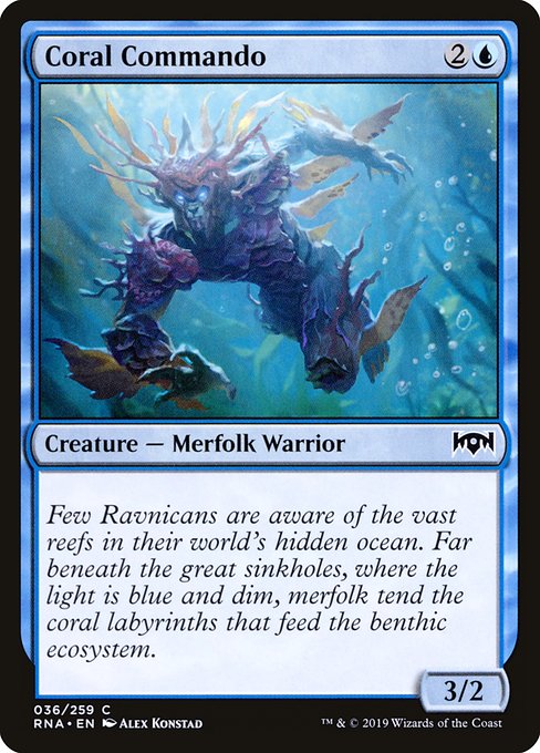 Coral Commando 36