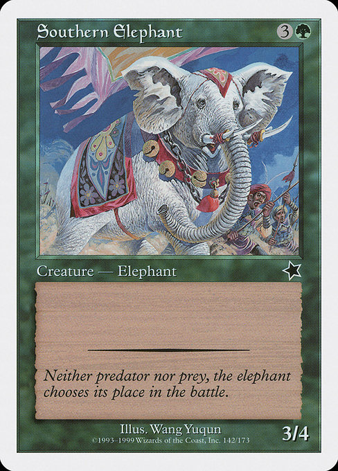 Southern Elephant 142