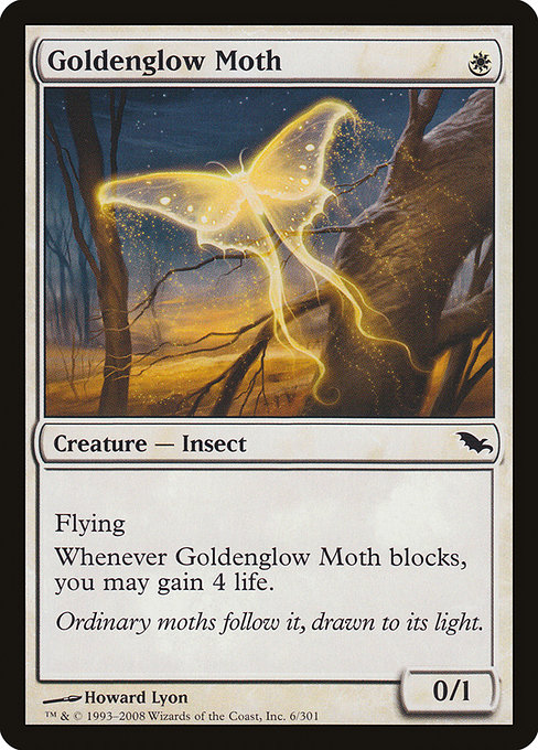 Goldenglow Moth 6