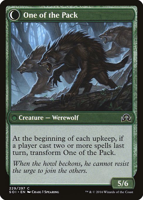 Solitary Hunter // One of the Pack 229, back face