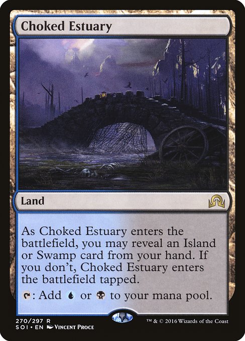 Choked Estuary 270