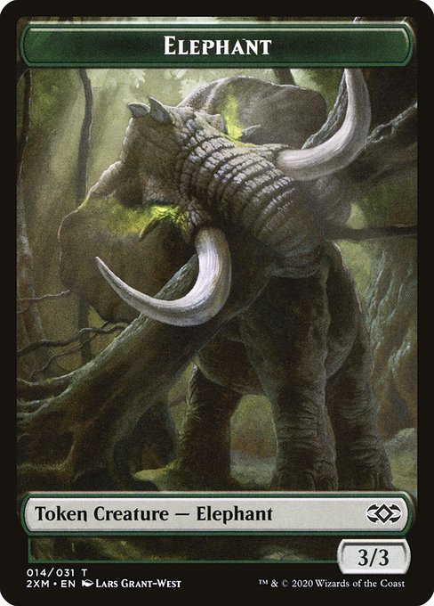 Elephant 14