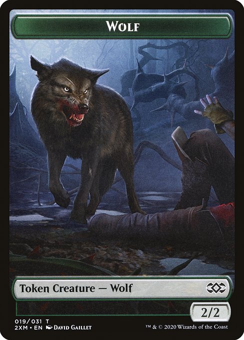 Wolf 19