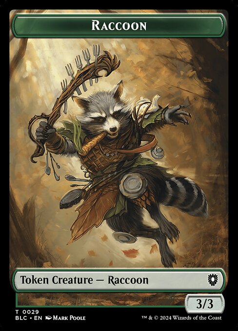 Raccoon 29